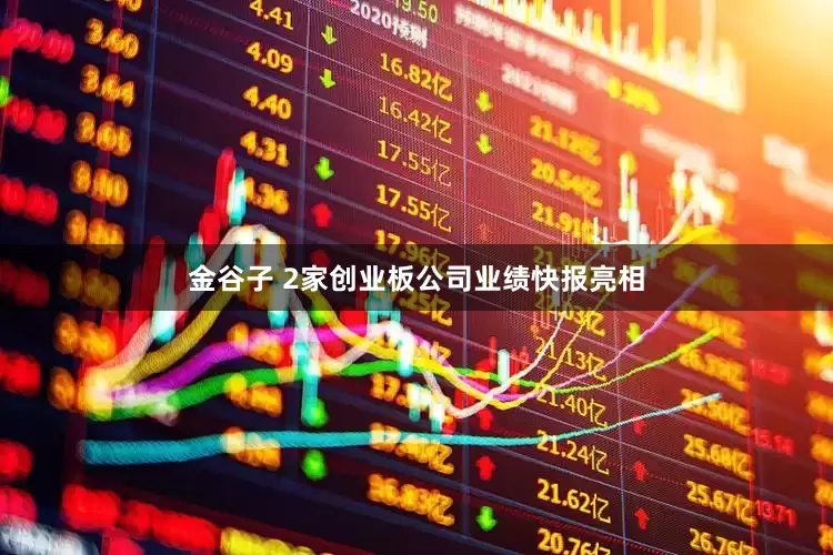 金谷子 2家创业板公司业绩快报亮相