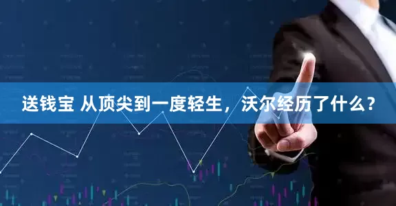送钱宝 从顶尖到一度轻生，沃尔经历了什么？